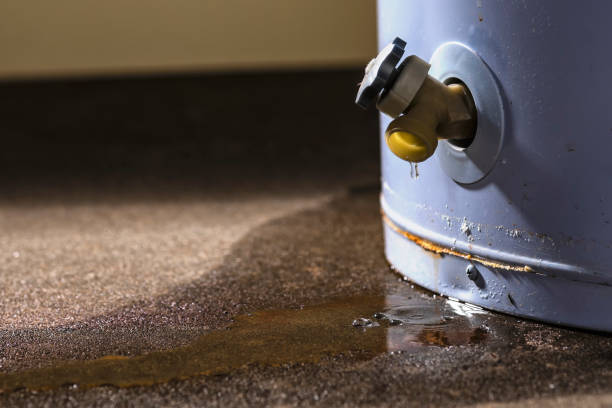 Best Commercial water damage restoration  in Laramie, WY