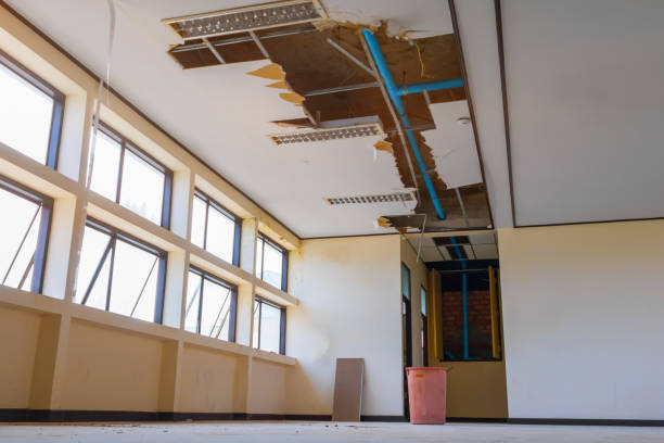 Carpet water damage restoration in WY