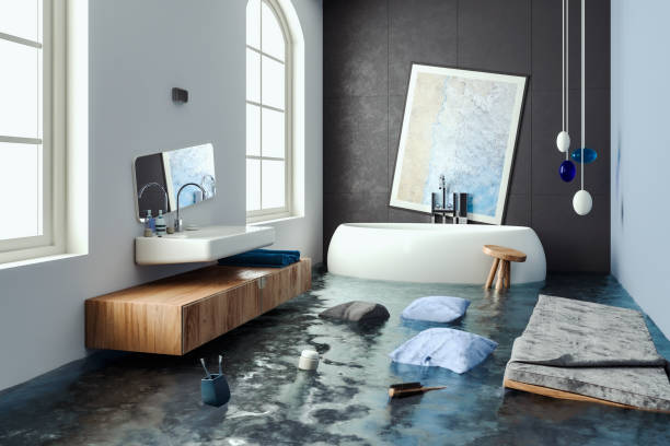 Best Mold removal after water damage  in Laramie, WY
