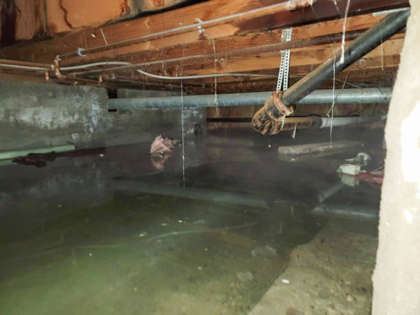 24/7 water damage repair in WY