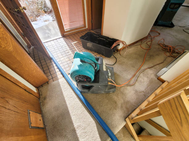 Professional Water damage restoration in WY