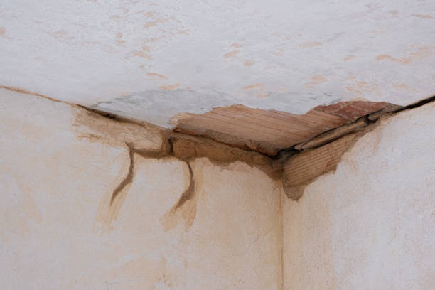 Best Water damage restoration near me  in Laramie, WY
