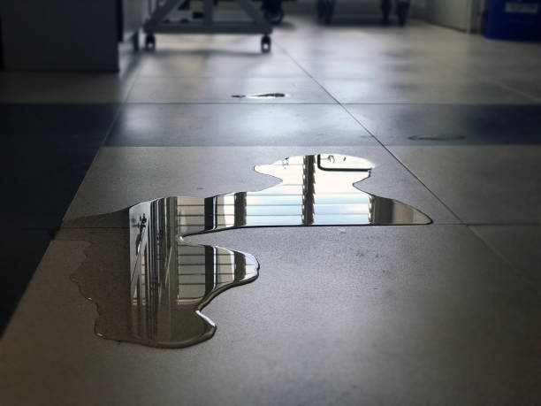 Best Basement water damage restoration  in Laramie, WY