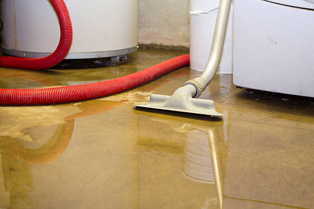 Best Water damage repair service  in Laramie, WY