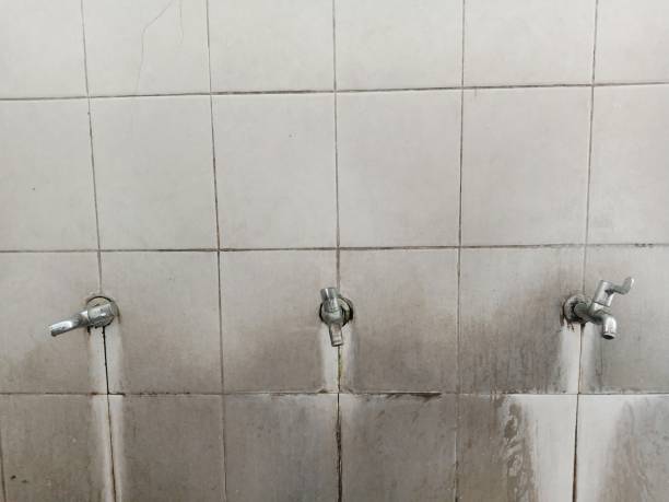 Best Water damage contractors near me  in Laramie, WY