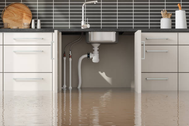 Best Flood damage cleanup  in Laramie, WY