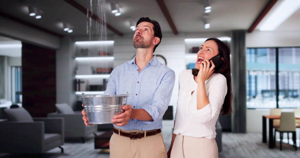 Best Flood restoration services  in Laramie, WY