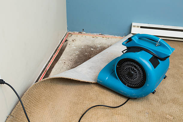 Best Local water damage restoration  in Laramie, WY